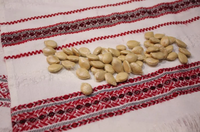 Семена тыквы Розовый фламинго на посадку- фото № 2