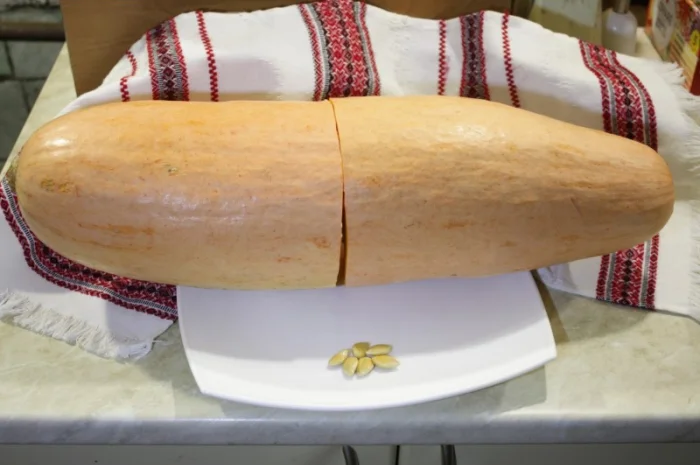 Семена тыквы Розовый фламинго на посадку- фото № 4