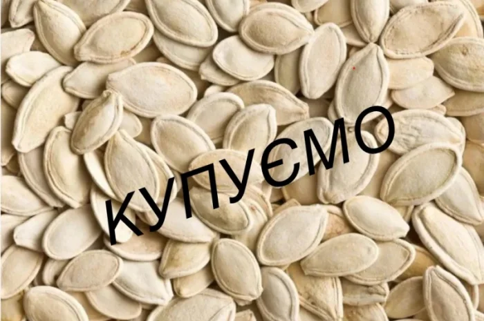 Купуємо насіння гарбуза гарбузове насіння- фото № 1