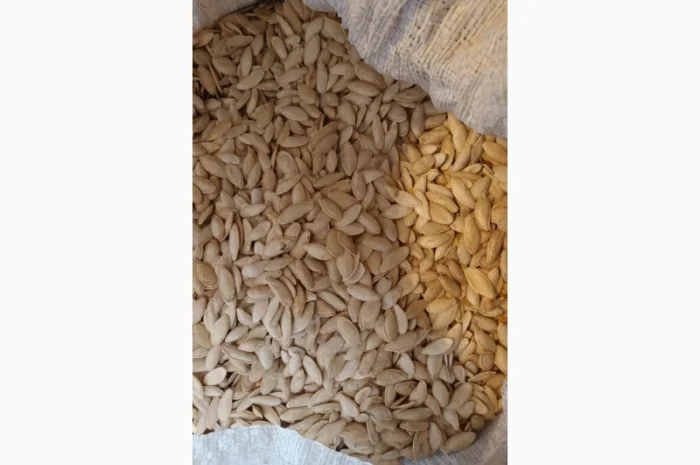 Куплю семечки тыквы всех сортов- фото № 1