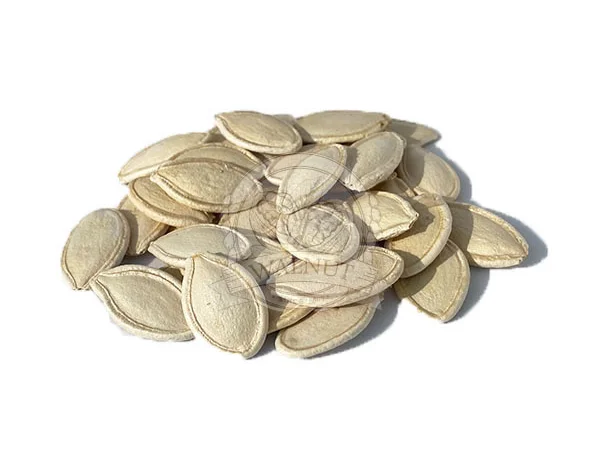 Підприємство купить насіння гарбуза різних сортів- фото № 1