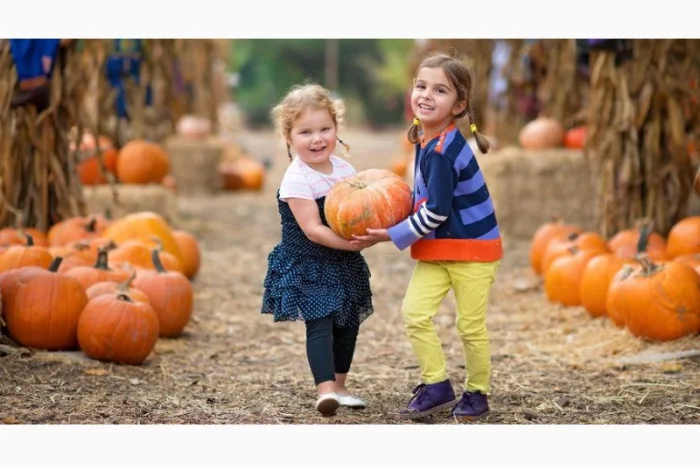 Посевмат, Семенной материал Семена тыквы Семена кабака Семена кабачка Гарбузове насiння- фото № 1