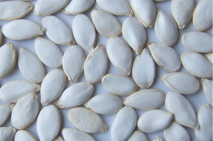 Семена посевмат посевной материал гарбуза тыквы кабачка- фото № 4