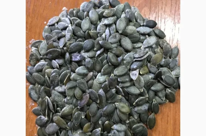 Продам зернята гарбуза голосємянка- фото № 1