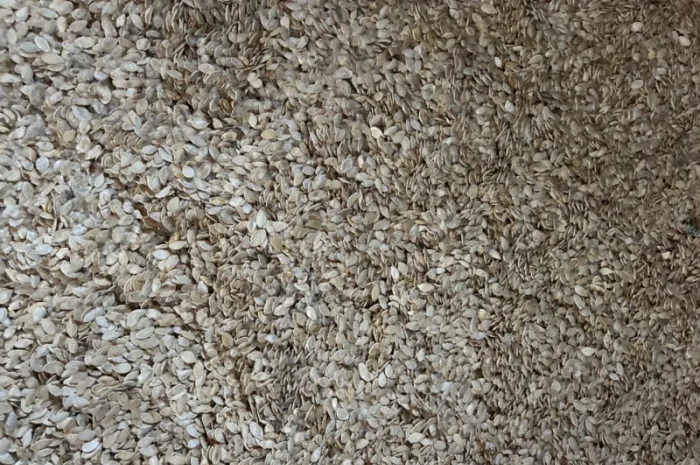 Гарбузове насіння- фото № 2