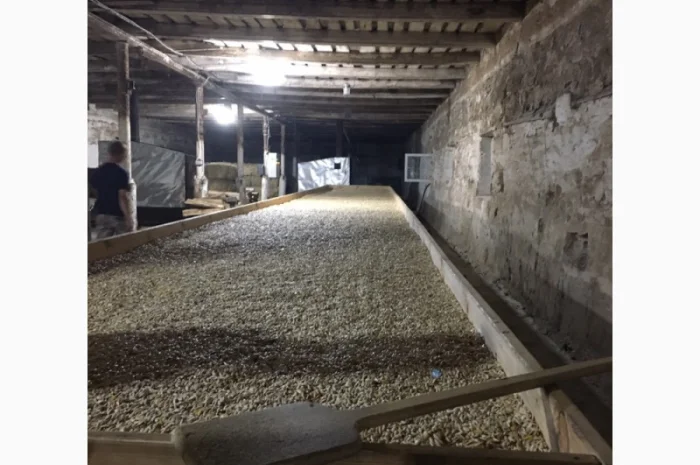 Семена тыквы Волжская серая (Сероволжская) Дамский ноготь (Болгарка) посевной материал1R- фото № 13