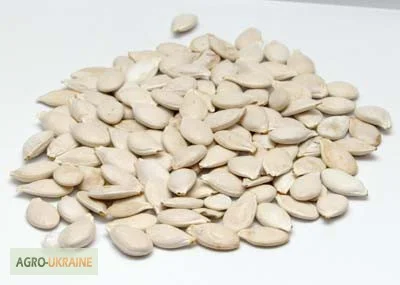 Семена тыквы Волжская серая (Сероволжская) Дамский ноготь (Болгарка) посевной материал1R- фото № 3