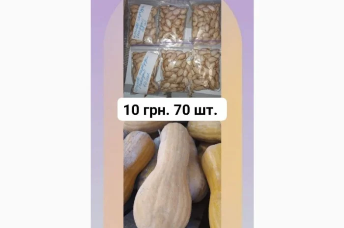 Кашові солодкі гарбузи, сімена, насіння 70 шт. 10 грн- фото № 1