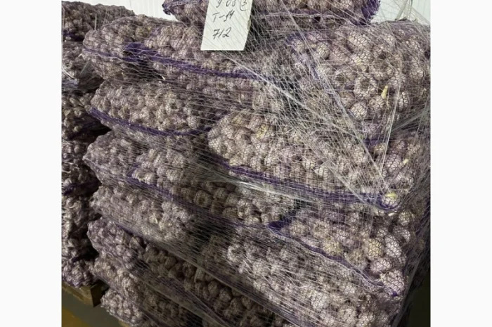 Товарний часник- фото № 6