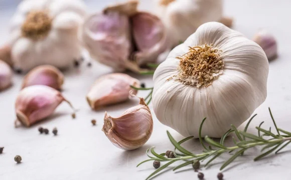 Продаж якісного часнику оптом- фото № 1