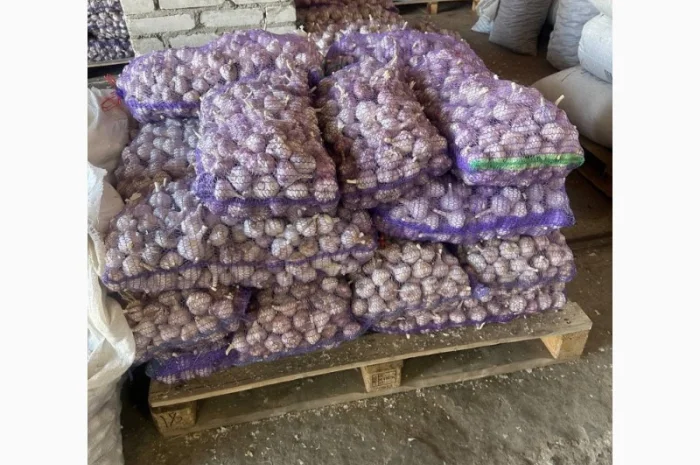 Товарный чеснок оптом 5/10/20 тонн- фото № 1