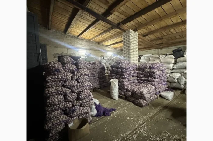 Товарний часник оптом 5 тон/експорт/- фото № 1