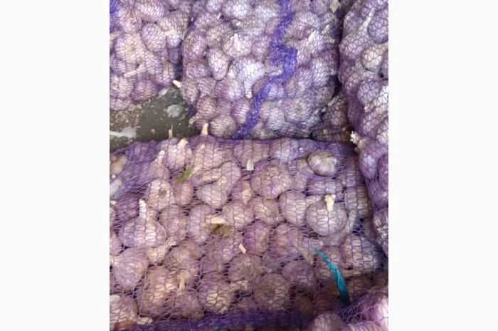 Закупка чеснока фракция 6+++- фото № 1