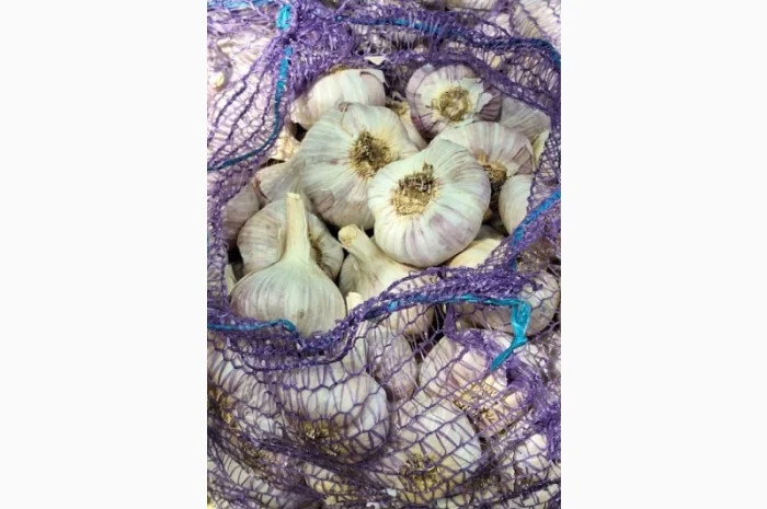 Покупка чесноку фракція від 4- фото № 1