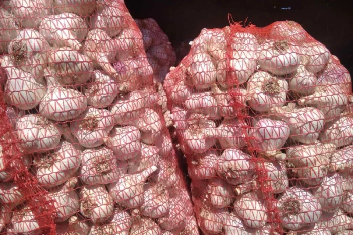 Куплю чеснок всех фракций и переработка- фото № 1