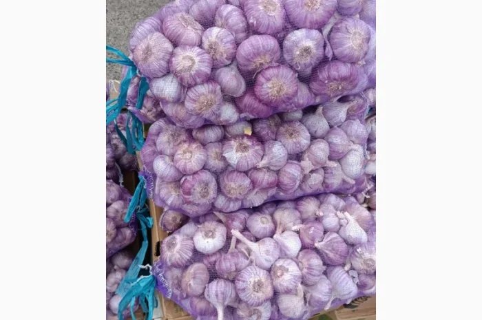 Закупка чеснока от 300 кг- фото № 1