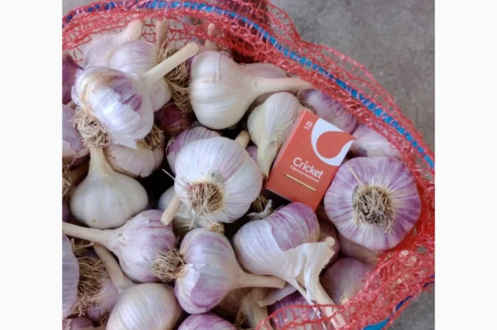 Куплю товарный чеснок, самовывоз- фото № 1