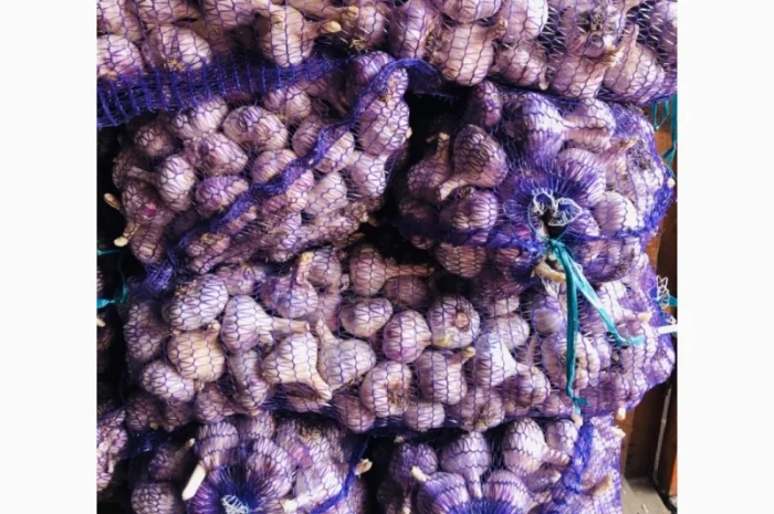 Закупівля чесноку в Полтаві- фото № 1