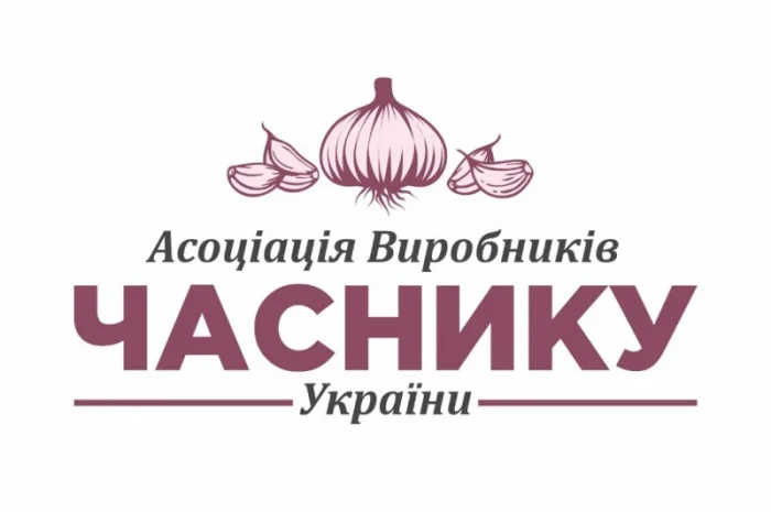 Продаємо часник на експорт- фото № 2