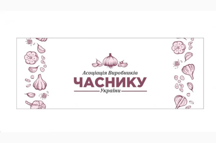 Продаємо часник на експорт- фото № 1