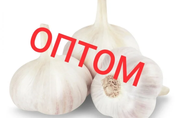 Куплю чеснок оптом- фото № 1