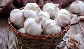 Закупка часнику в необмеженій кількості- фото № 2