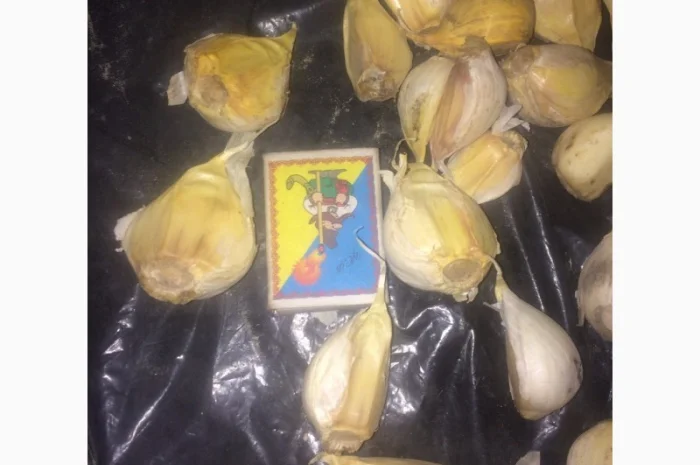 Чеснок, сорт Рокамболь- фото № 3