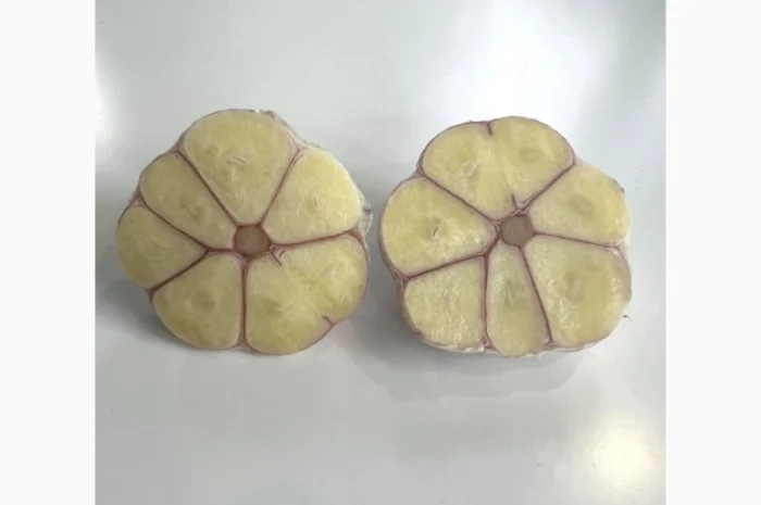 Продам домашній часник, сорт Любаша- фото № 4