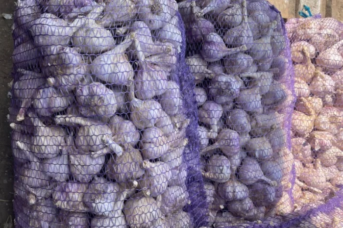 Закупка чеснока оптом- фото № 1