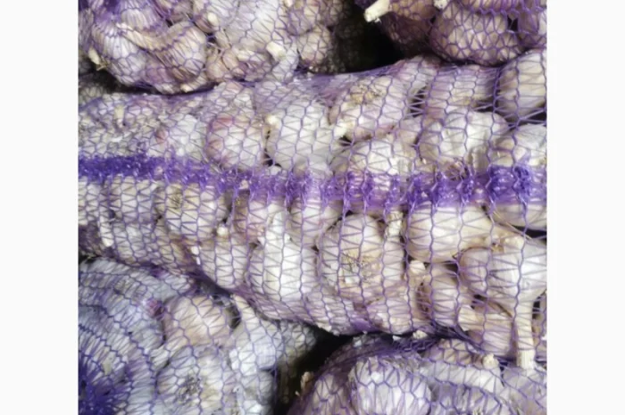 Продам часник озимий сорт Любаша (друга репродукція)- фото № 3