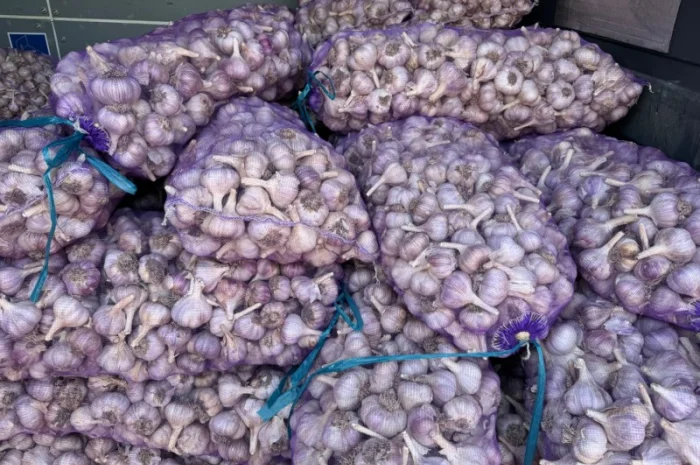 Продажа чеснока 3/4/5+ калибра- фото № 1