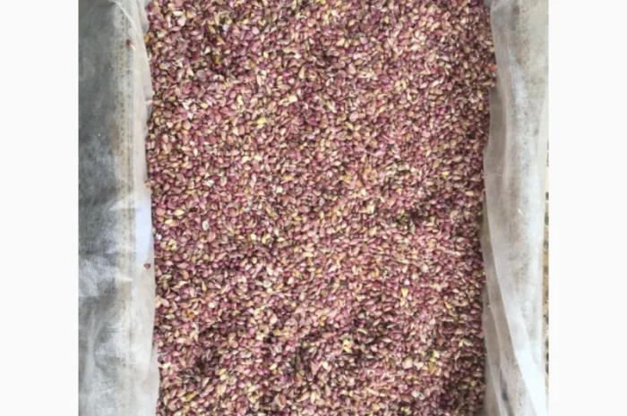 Продаж насіння чесноку та чесноку урожаю 2021 року- фото № 6