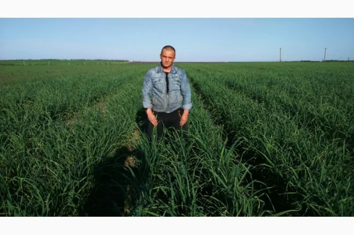 Продам чеснок, однозубка, воздушка- фото № 1