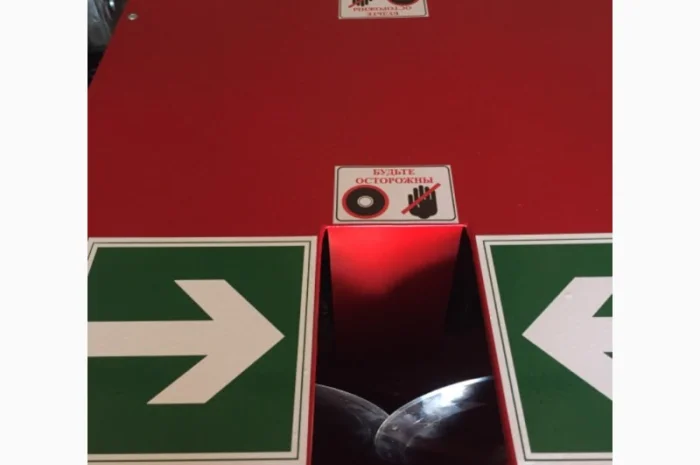 Продаж елітного чесноку сортів Лідер та Софіївський- фото № 4