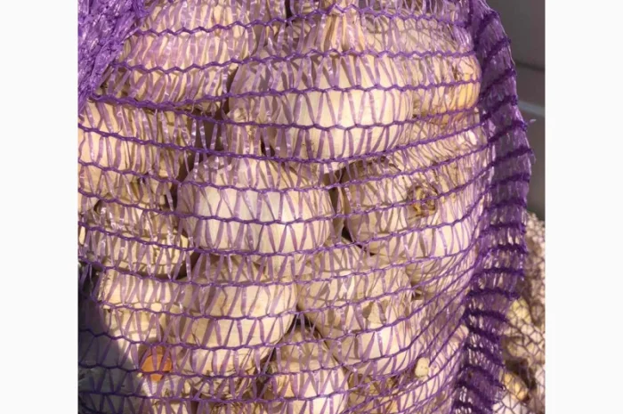 Продаж чесноку Рокамболь- фото № 6