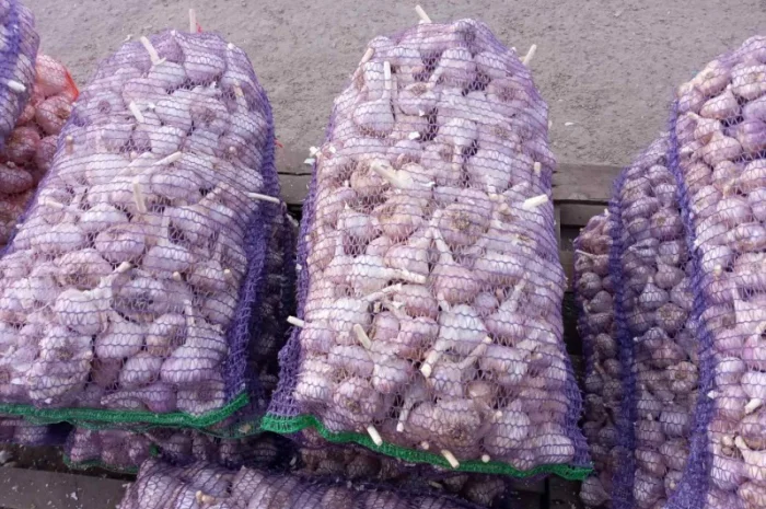 Закупівля товарного чесноку- фото № 1