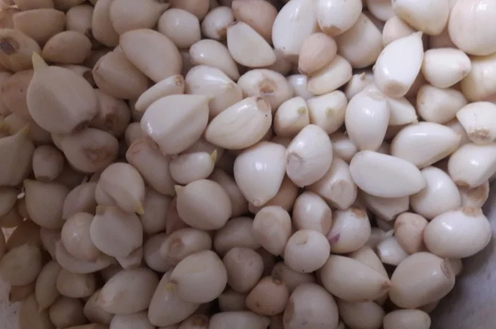 Продам часник очищений в вакуумній упаковці та насипом- фото № 1