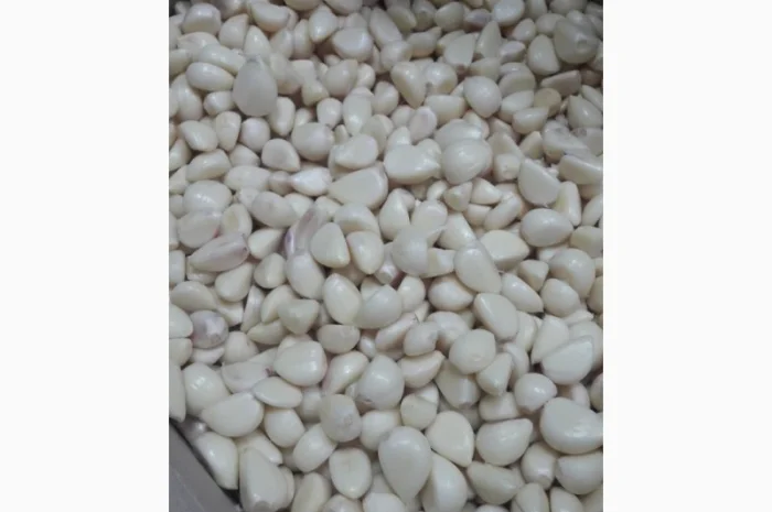 Продам часник очищений в вакуумній упаковці та насипом- фото № 3