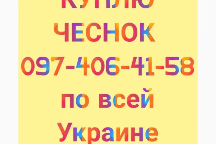 Куплю чеснок за наличный расчёт- фото № 1