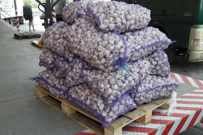 Чеснок в сетках- фото № 1