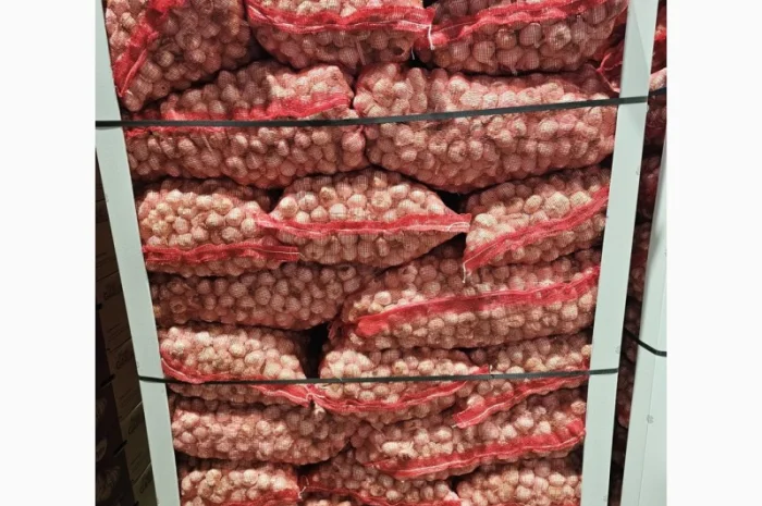 Vând usturoi origine spaniol calitatea 1 comercial calitatea 2 industrial- фото № 4