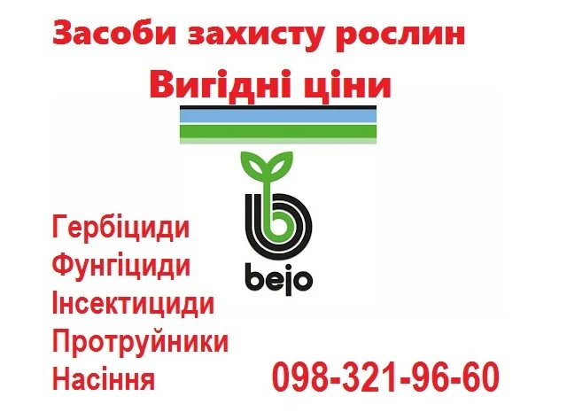 РАСПРОДАЖА остатков семян овощей Bejo (Голландия), Vilmorin (Франция) по хорошим ценам- фото № 1