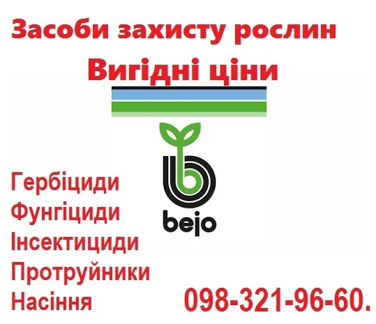 Продам фирменные качественные семена овощей - недорого, Bejo, Vilmorin, Никерсон цваан- фото № 1