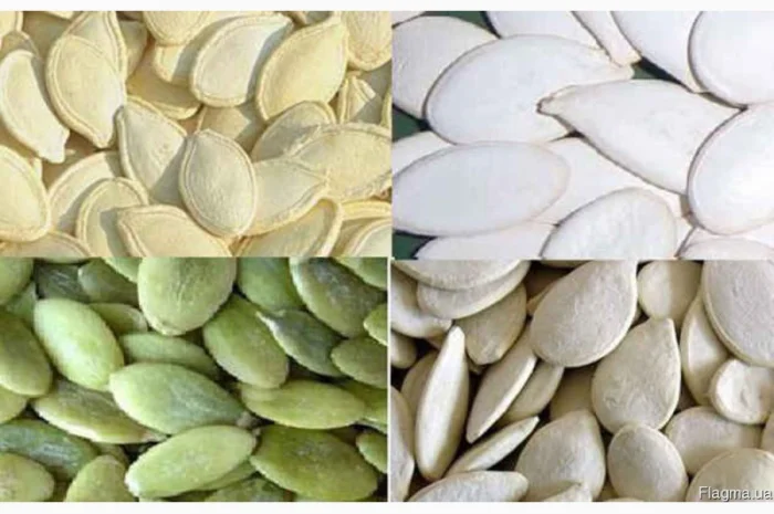 Семечку тыквенную (украинка)- фото № 1