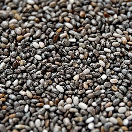 Семена чиа- фото № 1