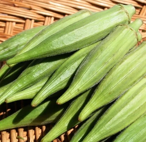 Продам семена Бамия Луизиана- фото № 1