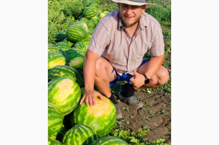 Продаємо кавуни та дині- фото № 1