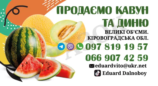 Продаємо кавуни та дині- фото № 1