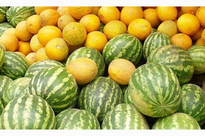 Продам кавун та диню- фото № 1