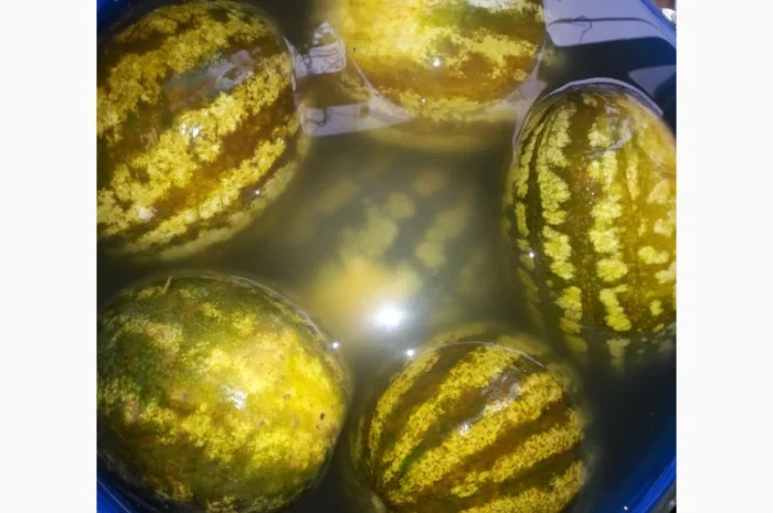 Продам маринованный АРБУЗ- фото № 3